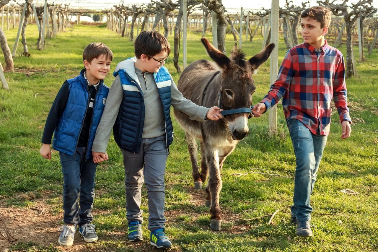 Azienda Agrituristica Il Pago 新锡里马里纳 外观 照片