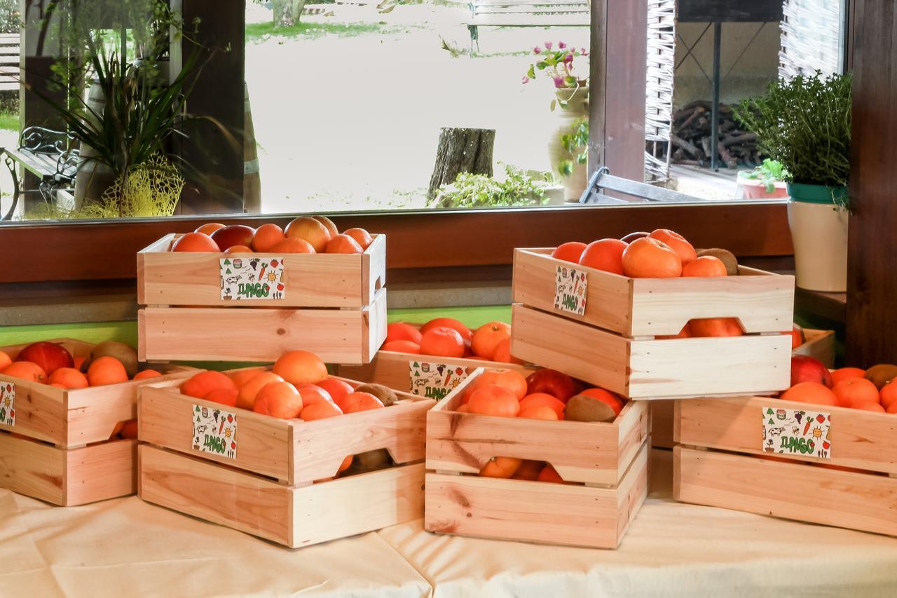Azienda Agrituristica Il Pago 新锡里马里纳 外观 照片