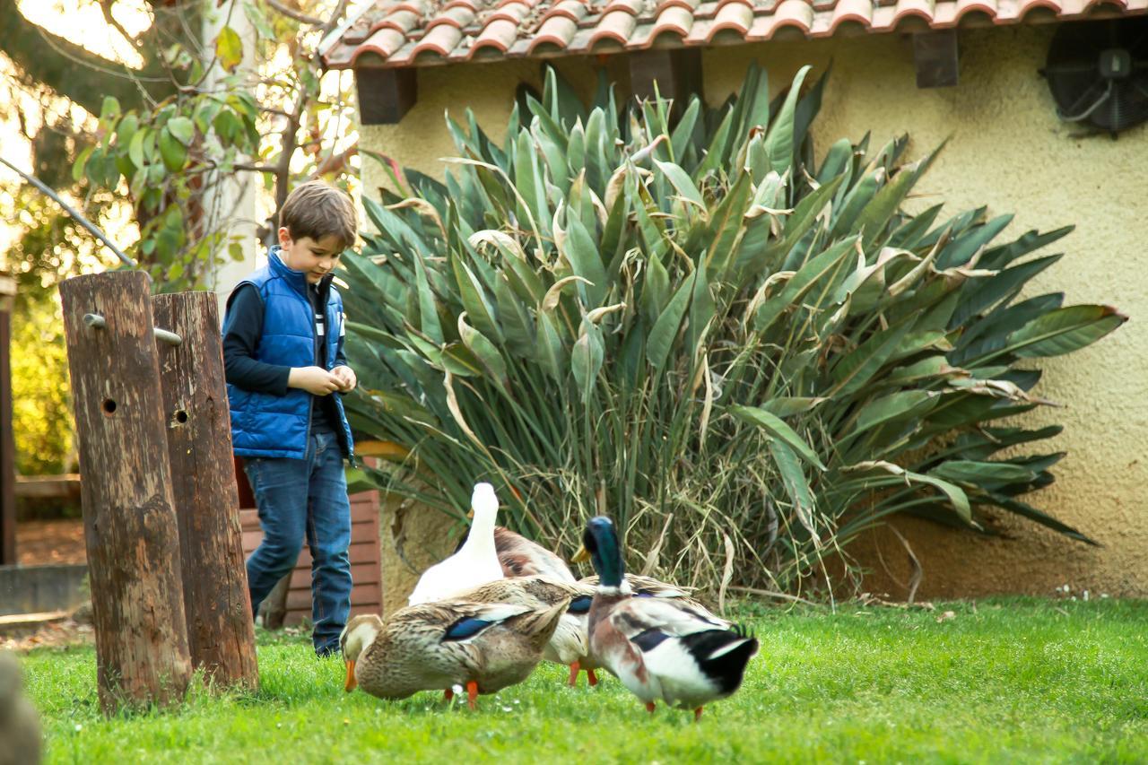 Azienda Agrituristica Il Pago 新锡里马里纳 外观 照片