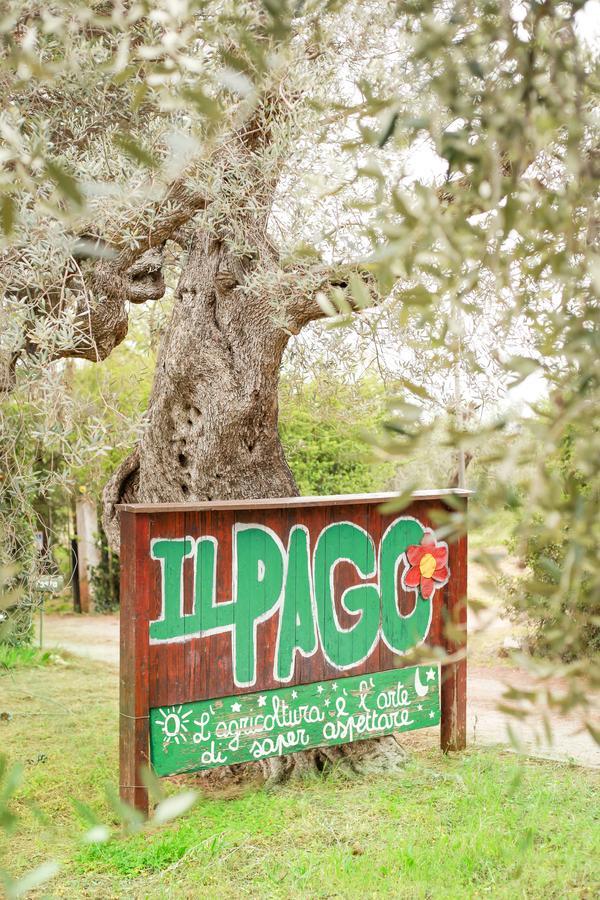 Azienda Agrituristica Il Pago 新锡里马里纳 外观 照片